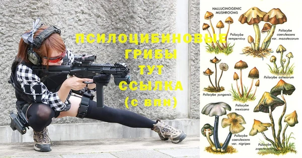 ПСИЛОЦИБИНОВЫЕ ГРИБЫ Абдулино