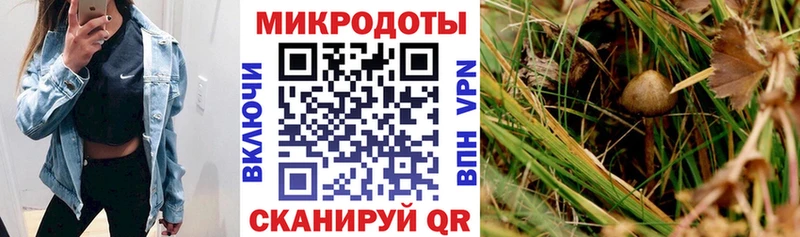 где найти наркотики  Южноуральск  Галлюциногенные грибы ЛСД 