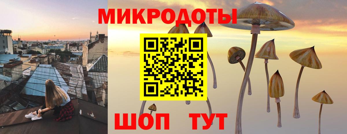 Южноуральск  Галлюциногенные грибы мицелий  Вход с VPN 